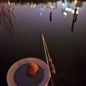 龍魚釣點:《奧比島手游》龍魚的釣點分布情況 龍魚百科 第1張 龍魚釣點:《奧比島手游》龍魚的釣點分布情況 龍魚釣點:《奧比島手游》龍魚的釣點分布情況 龍魚百科 第1張