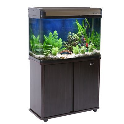 森森魚缸新款，大型魚缸室內設計搭配森森魚缸用戶評價匯總