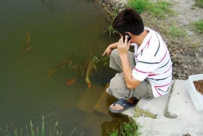 養龍魚底層配啥魚：養龍魚時選擇合適的配魚是非常重要的一步合理的配魚 養龍魚底層配啥魚：養龍魚時選擇合適的配魚是非常重要的一步合理的配魚 龍魚百科 第3張