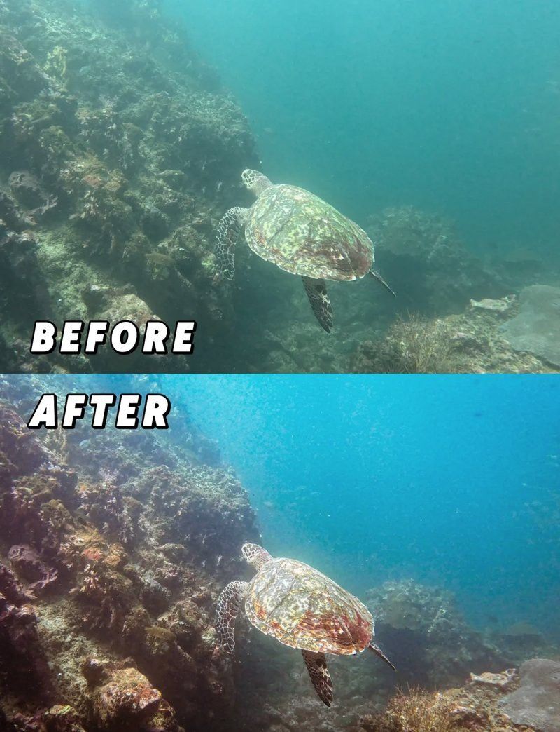 有哪些軟件可以調整龍魚照片的色溫？ 有哪些軟件可以調整龍魚照片的色溫？ 龍魚百科 第1張