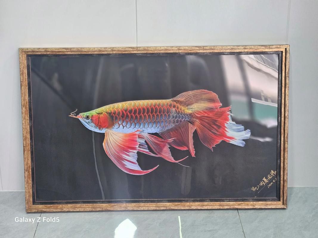 有哪些軟件可以調整龍魚照片的色溫？ 有哪些軟件可以調整龍魚照片的色溫？ 龍魚百科 第5張