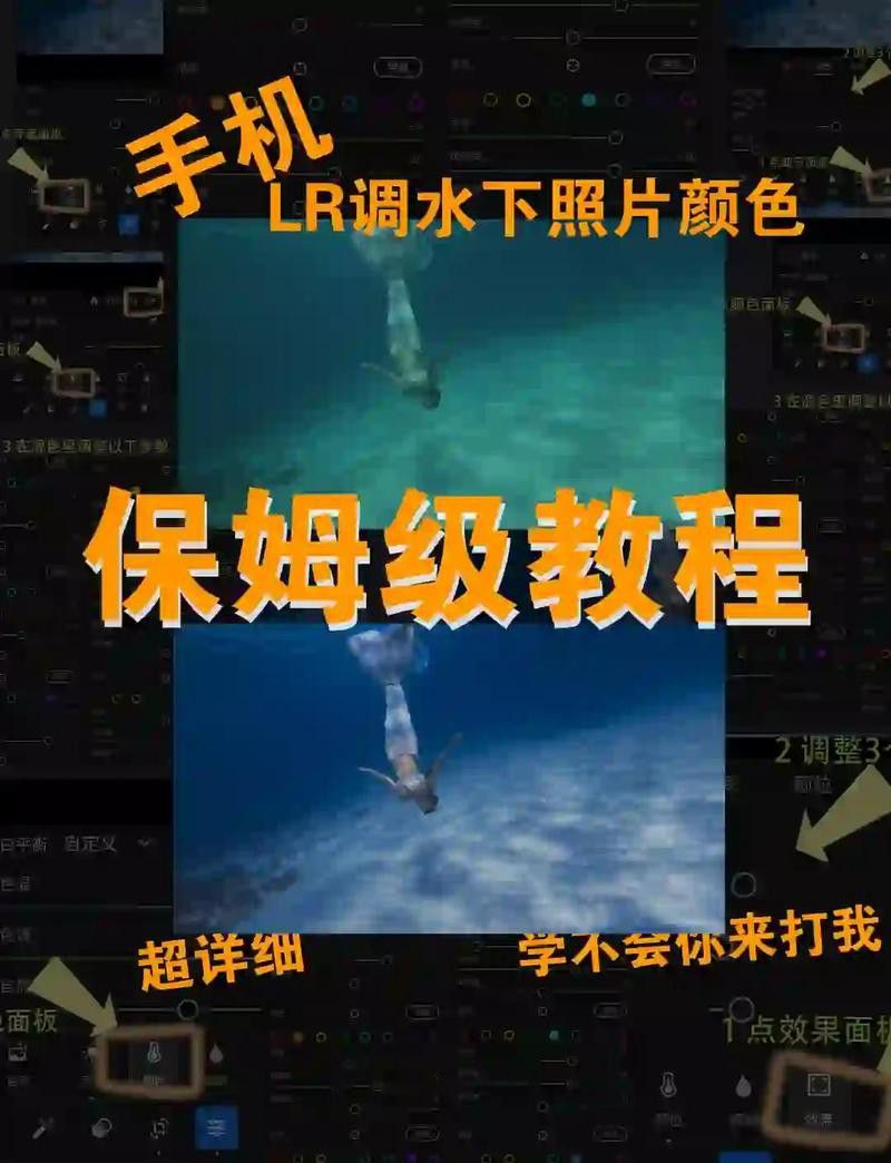 有哪些軟件可以調整龍魚照片的色溫？ 有哪些軟件可以調整龍魚照片的色溫？ 龍魚百科 第13張