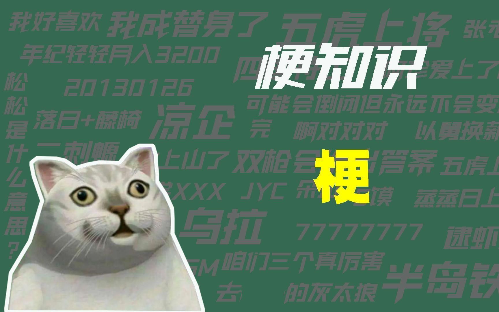 這個梗如何影響龍魚飼養文化？