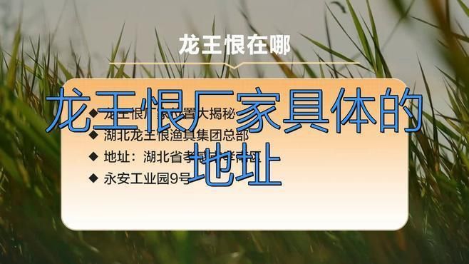 龍王恨餌料廠家地址
