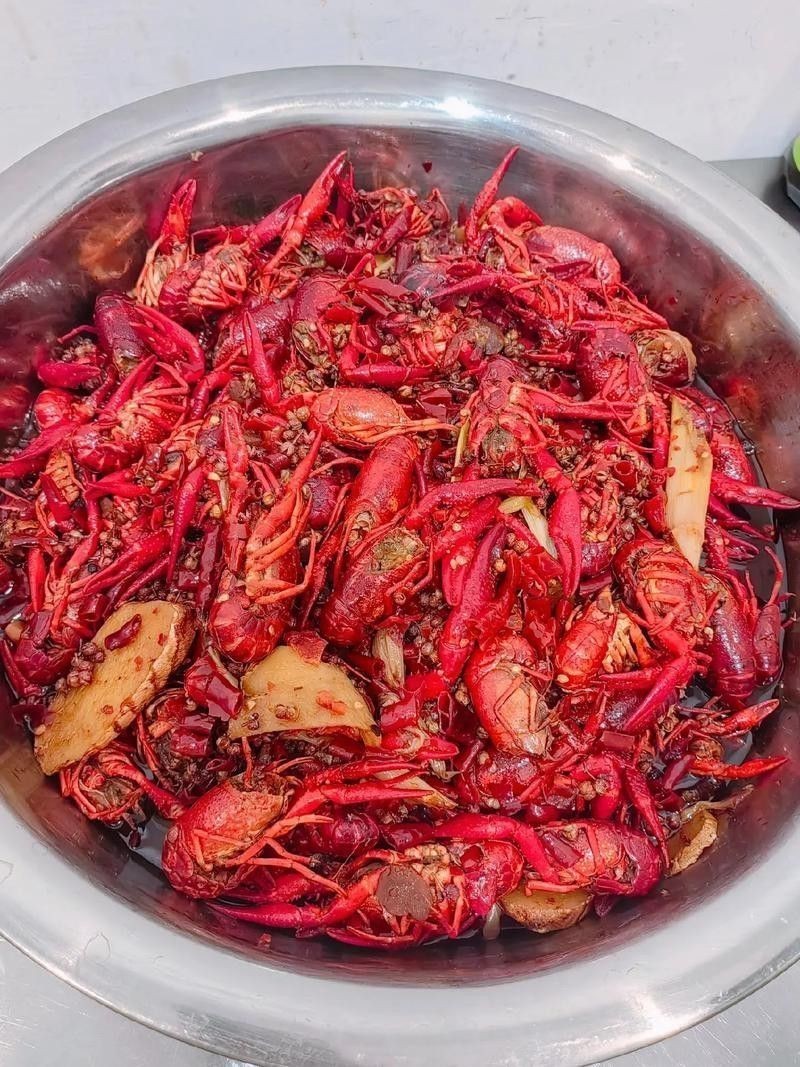 哪里可以找到高清的龍蝦圖片？