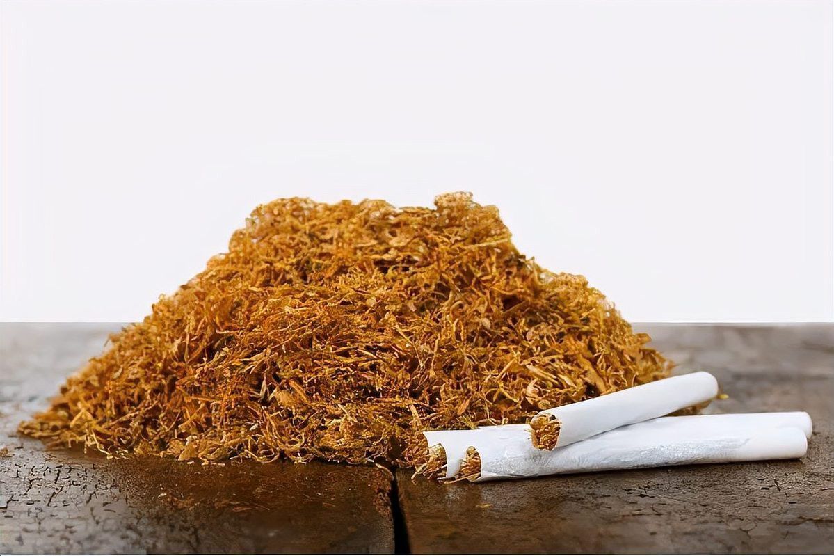 紅色真龍硬盒和軟盒有何區(qū)別？