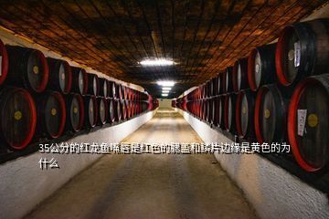 紅龍魚三十公分還未紅（怎么把紅龍魚養得更紅，影響因素很多） 紅龍魚三十公分還未紅（怎么把紅龍魚養得更紅，影響因素很多） 龍魚百科 第5張