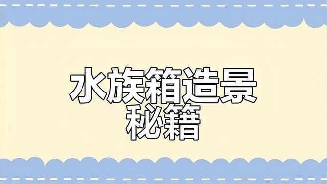 龍魚缸沉木造景圖