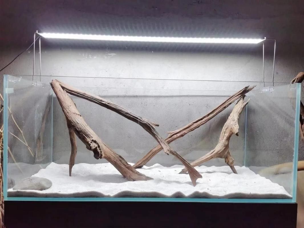 龍魚缸沉木造景圖