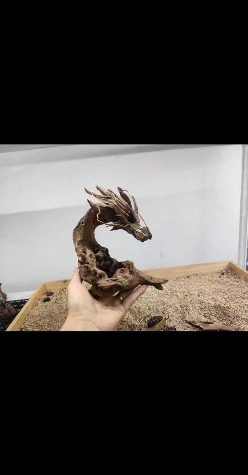 龍魚缸沉木造景圖