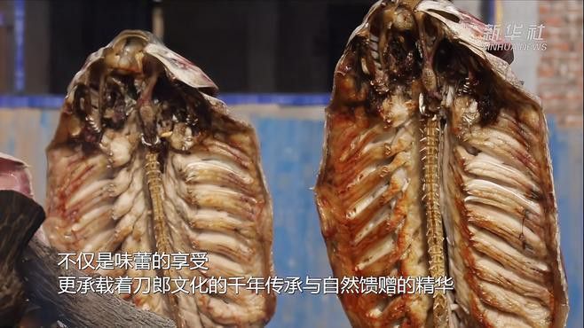 喀什龍魚專賣店
