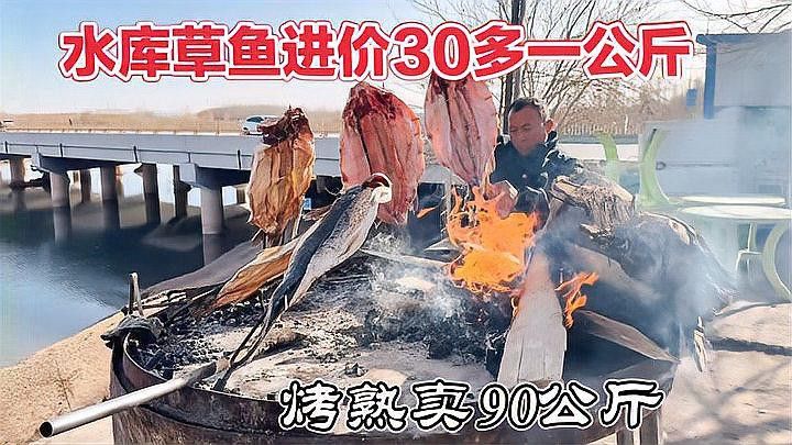 喀什龍魚專賣店