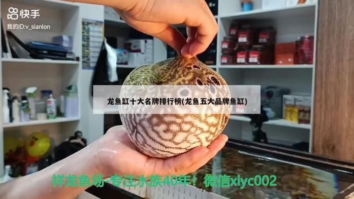 龍魚缸品牌：龍魚缸品牌在市場(chǎng)上具有廣泛的知名度和影響力