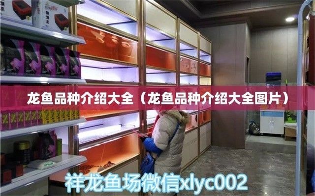 龍魚所有品種名稱，龍魚品種名稱：亞洲龍魚與紅龍魚的區別，銀龍魚的區別