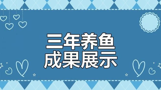金龍魚和紅龍魚能不能混養一起