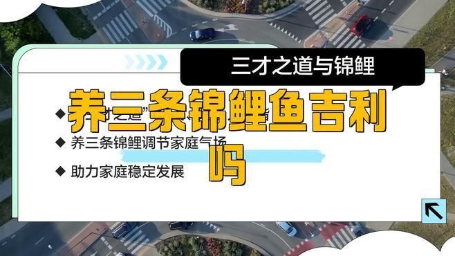 錦鯉養三條好還是六條好 龍魚百科 第1張 錦鯉養三條好還是六條好 錦鯉養三條好還是六條好 龍魚百科 第1張