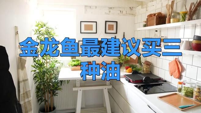 哪里可以買到金龍魚調和油？ 哪里可以買到金龍魚調和油？ 龍魚百科 第4張