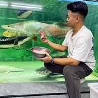 愛養魚龍龍在哪個平臺發布作品？ 愛養魚龍龍在哪個平臺發布作品？ 龍魚百科 第6張