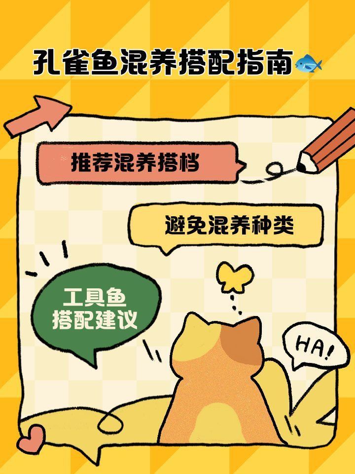 金苔鼠會攻擊孔雀魚嗎