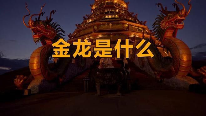 金龍魚騎士哥的真實身份是什么？