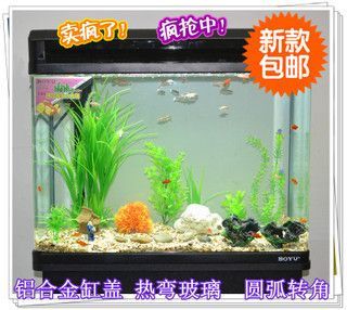 魚缸養(yǎng)龍魚：魚缸計算器龍魚之巔