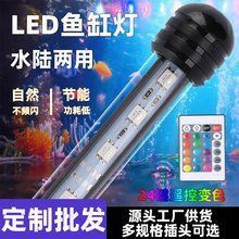 龍魚燈的最佳購買品牌推薦 龍魚燈的最佳購買品牌推薦 龍魚百科 第2張