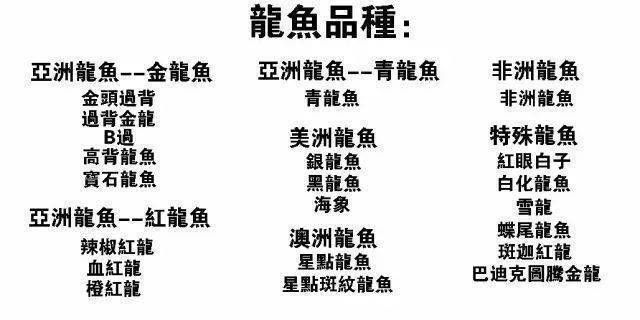 龍魚分哪幾種：紅龍魚與金龍魚的區別