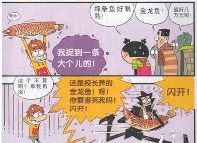 金龍魚搖頭是什么原因：金龍魚搖頭可能有多種原因