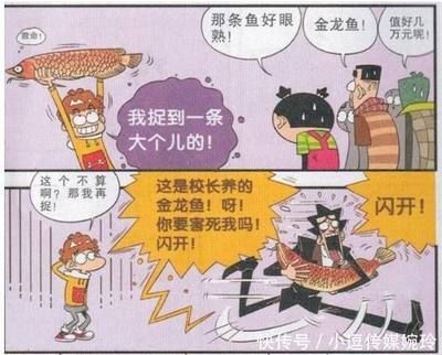 金龍魚搖頭是什么原因：金龍魚搖頭可能有多種原因
