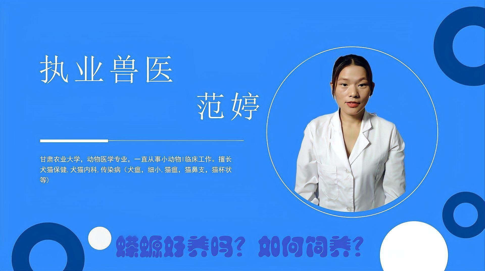 小火龍蠑螈成體后多久喂一次