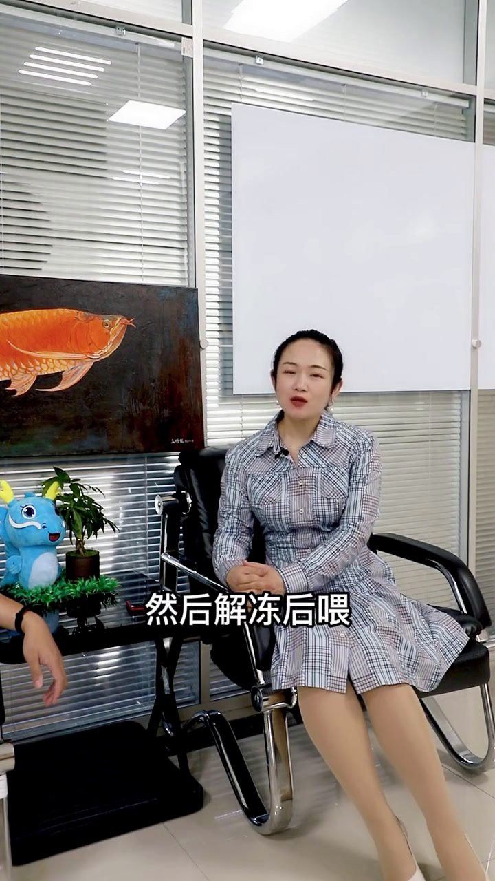 金龍魚的食物消毒方法