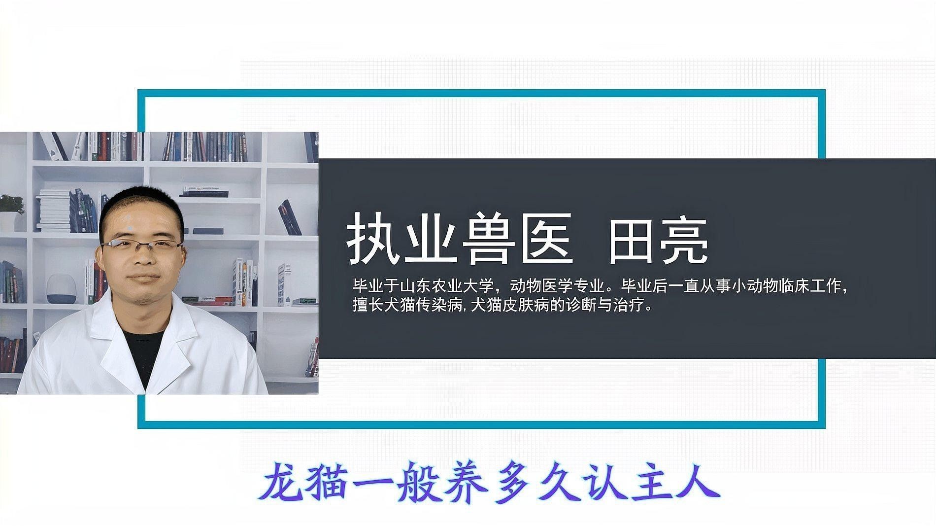 龍貓多久才會認(rèn)主人？ 龍貓多久才會認(rèn)主人？ 龍魚百科 第2張