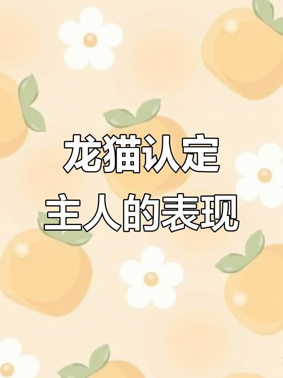 龍貓多久才會認(rèn)主人？ 龍貓多久才會認(rèn)主人？ 龍魚百科 第6張