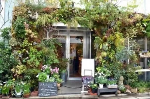 中國最大的龍魚批發(fā)市場在哪里：探秘中國最大的龍魚批發(fā)市場，水族愛好者的天堂