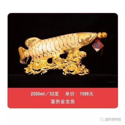 富貴金龍魚酒多少錢（富貴金龍魚酒價格）