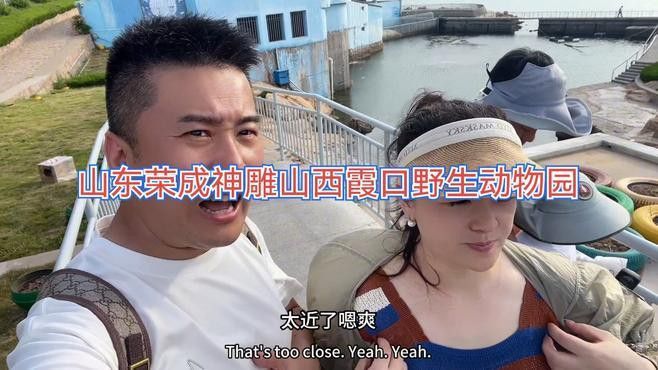 帝龍漁業龍魚證書