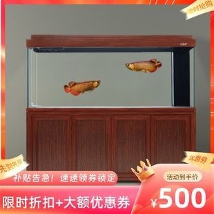 龍魚商家為什么都用白缸？（龍魚商家為什么喜歡使用白缸？）