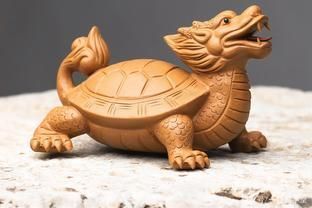 龍魚擺放的風水位置（“龍魚擺放的風水位置”并沒有直接的信息，可能會對您有幫助）