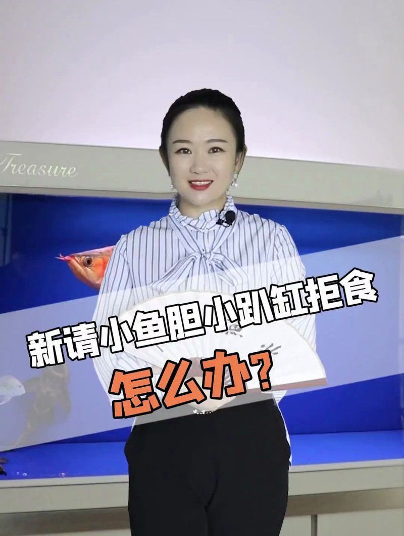 金龍魚膽子小最忌三種魚 金龍魚膽子小最忌三種魚 龍魚百科 第16張