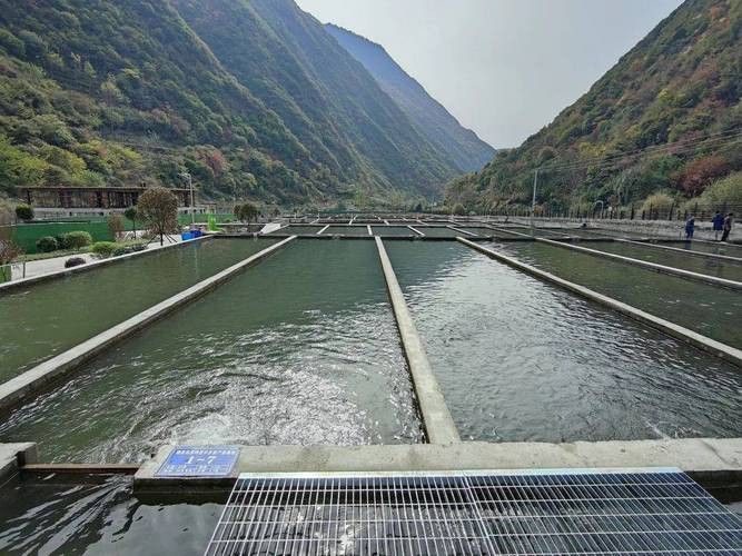 呼倫貝爾龍魚養殖基地