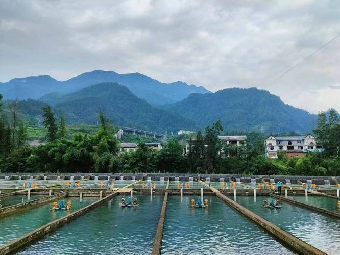 呼倫貝爾龍魚養殖基地