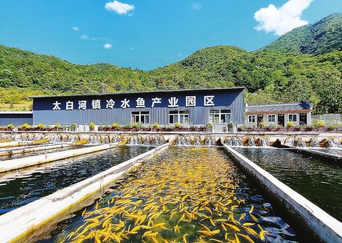 呼倫貝爾龍魚養殖基地