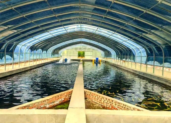 呼倫貝爾龍魚養殖基地