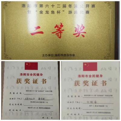 金龍魚現在的價格表是多少：金龍魚價格表 金龍魚現在的價格表是多少：金龍魚價格表 龍魚百科 第1張