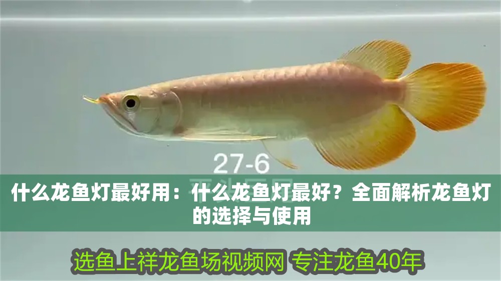 什么龍魚燈最好用：什么龍魚燈最好？全面解析龍魚燈的選擇與使用