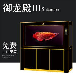 金龍魚缸寬度多少合適養：金龍魚缸寬度多少合適養金龍魚缸寬度多少合適