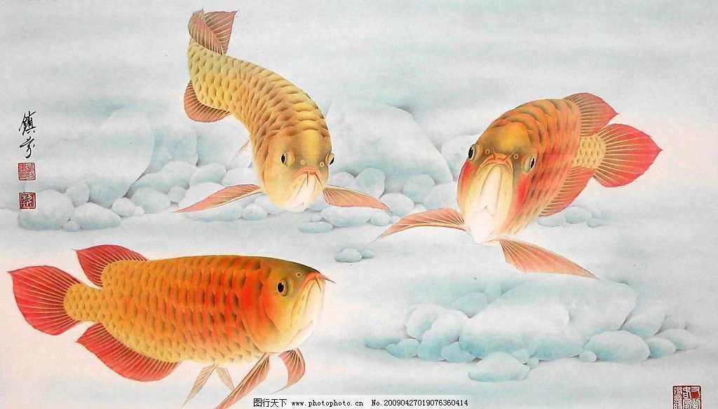 工筆畫(huà)金龍魚(yú)：工筆畫(huà)金龍魚(yú)工筆畫(huà)的畫(huà)法步驟，細(xì)致入微的工作需要耐心和技巧