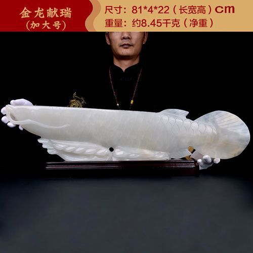 玉金龍魚圖片高清壁紙 玉金龍魚圖片高清壁紙 龍魚百科 第10張