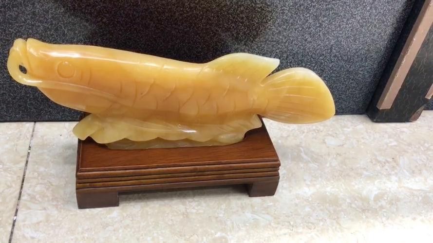 玉金龍魚圖片高清壁紙 玉金龍魚圖片高清壁紙 龍魚百科 第5張