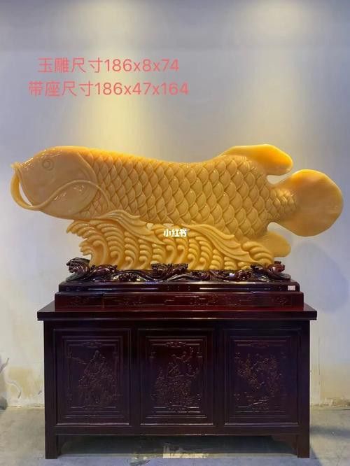 玉金龍魚圖片高清壁紙 玉金龍魚圖片高清壁紙 龍魚百科 第16張